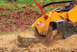 Why Choose Our Tree Removal Services in Akwesasne, NY?